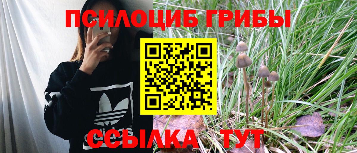 Бошки Шишки Иваново