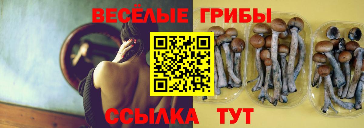 Галлюциногенные грибы GOLDEN TEACHER  Вход с VPN  Псилоцибиновые грибы Psilocybe  Иваново 